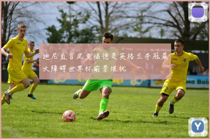 迪尼直言皮克福德是英格兰夺冠最大障碍世界杯前景堪忧