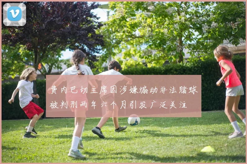 费内巴切主席因涉嫌煽动非法赌球被判刑两年六个月引发广泛关注
